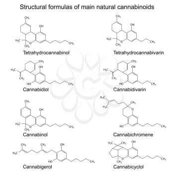 Chemical formulas of natural cannabinoids: tetrahydrocannabinol, cannabidiol, cannabinol, cannabigerol, tetrahydrocannabivarin, cannabidivarin, cannabichromene, cannabicyclol, 2d illustration, vector,