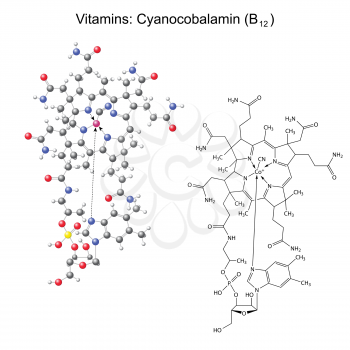 Structural chemical formula and model of vitamin B12 - cyanocobalamin, 2d and 3d illustration, isolated, vector, eps 8