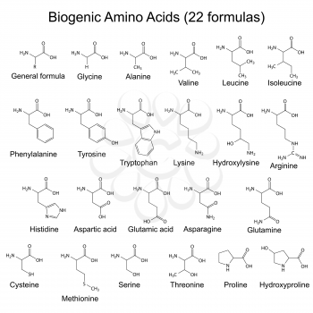 Twenty two biogenic amino acids - chemical formulas, 2d illustration, vector, eps 8
