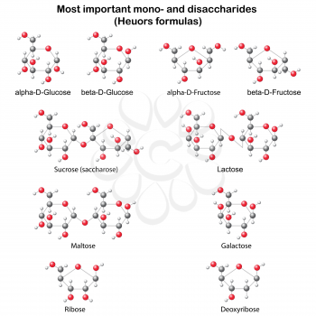 Chemical models of main mono- and disaccharides: glucose, fructose, galactose, ribose, deoxyribose, sucrose, lactose, maltose, 3d illustration bal & stick style, isolated, vector, eps 8