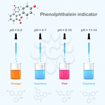 Forms of phenolphthalein in solutions with different pH, 2d & 3d illustration, isolated, vector, eps 10