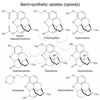 Chemical formulas of main semisynthetic opiates, 2d illustration, isolated, vector, eps 8