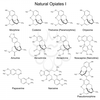 Structural formulas of main natural opiates - first set, 2d illustration, isolated, vector, eps 8
