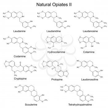 Chemical formulas of main natural opiates - second set, 2d illustration, isolated, vector, eps 8