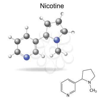 Structural chemical formula and model of  nicotine, 2d and 3d illustration, vector, eps 8