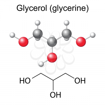 Structural chemical formula and model of glycerol molecule, 2d and 3d illustration, isolated, vector, eps 8