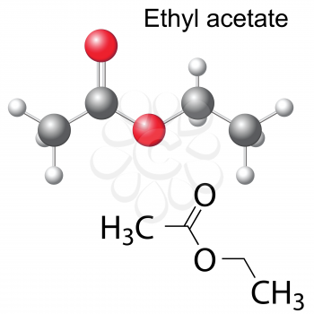 Structural chemical formula and model of ethyl acetate molecule, 2d and 3d illustration, isolated, vector, eps 8