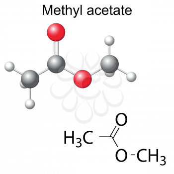 Structural chemical formula and model of methyl acetate molecule, 2d and 3d illustration, isolated, vector, eps 8