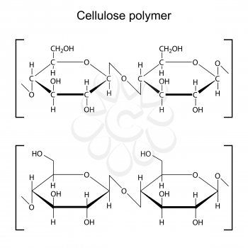 Cellulose polymer molecule - chemical formula, 2d illustration, vector, eps 8