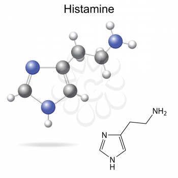 Structural model, chemical formula of histamine molecule, 2d and 3d isolated vector, eps 8