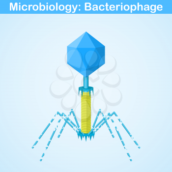 Bacteriophage - bacterial dna virus, 3d vector, eps 8