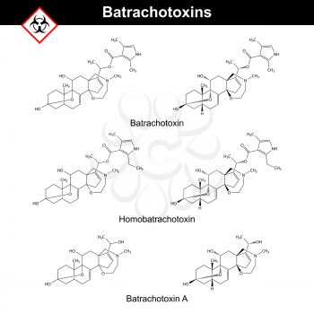 Batrachotoxins - frog and bird non-protein poisons, chemical structural formula, 2d vector, eps 8