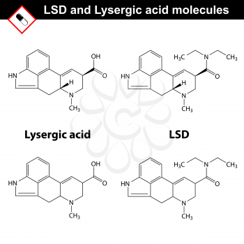 LSD and lysergic acid molecules - synthetic and natural  hallucinogens, chemical molecular structures, 2d vector, isolated on white background, eps 8