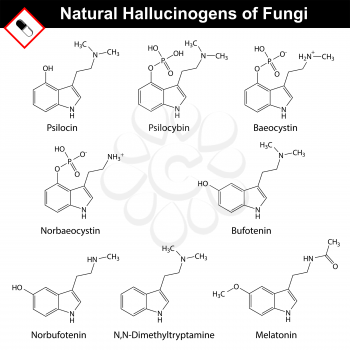Natural tryptamine hallucinogens - baeocystin, norbaeocystin, psilocin, psilocybin, melatonin, bufotenin, norbufotenin, DMT. Molecular chemical models, 2d vector, isolated on white background, eps 8