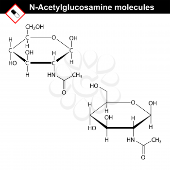 N-Acetylglucosamine NAG molecule - component of hyaluronic acid and chitin Structural chemical formulas, 2d vector, isolated on white background, eps 8