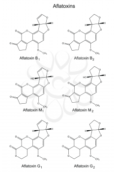 Structural chemical formulas of aflatoxins (B, M, G), 2d illustration, vector, isolated on white