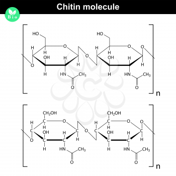 Chitin molecule - chemical structure of natural compound, 2d vector of model on white background, eps 8