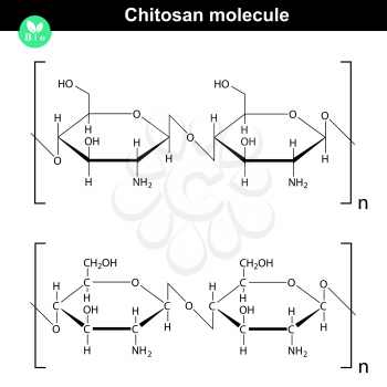 Chitosan molecule - chemical structure of natural compound, 2d vector of model on white background, eps 8