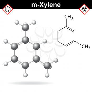Xylene molecule - structural chemical formula and model of meta-xylene, 2d and 3d isolated on white background, vector, eps 8