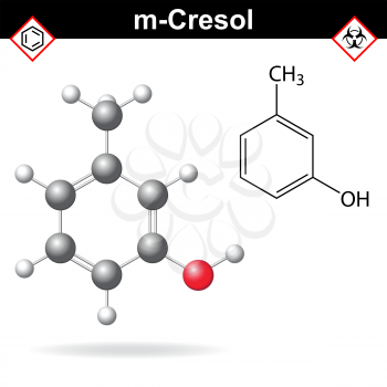 Cresol molecule - structural chemical formula and model of meta-cresol, 2d and 3d isolated on white background, vector, eps 8