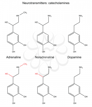 Structural chemical formulas of neurotransmitters (adrenaline, noradrenaline, dopamine) with marked variable fragments, 2d Illustration, vector, isolated on white background