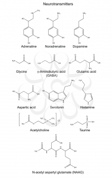 Structural chemical formulas of basic neurotransmitters