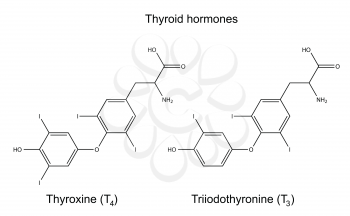 Structural chemical formulas of thyroid hormones: thyroxine (T4) and triiodothyronine (T3), 2D illustration, vector, isolated on white background