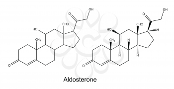 Structural chemical formulas of aldosterone, 2D illustration, vector, isolated on white background