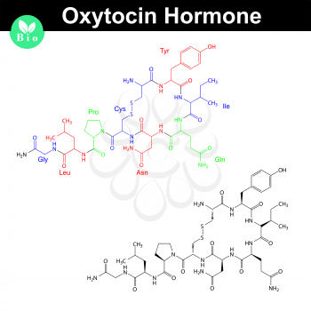 Oxytocin hormone molecule with marked amino acid components, 2d vector model, eps 8