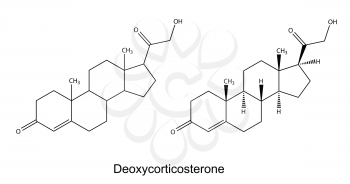 Structural chemical formulas of deoxycorticosterone, 2D illustration, vector, isolated on white background