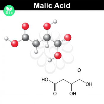 Malic acid molecule, malate, structural chemical formula and model, 2d & 3d vector, isolated on white background, eps 8