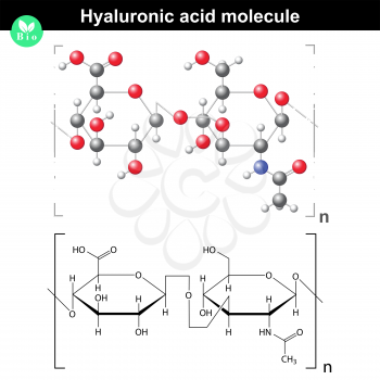 Hyaluronic acid molecule, model and molecular structure, 2d & 3d vector, eps 8