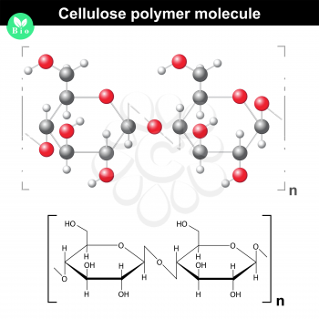 Cellulose polymer chemical formula and 3d model, molecular structure, vector, eps 8
