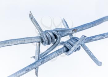 Metal barbed wire stretched on a white background