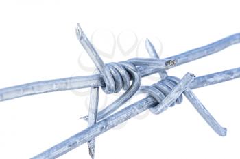 Metal barbed wire isolated on a white background