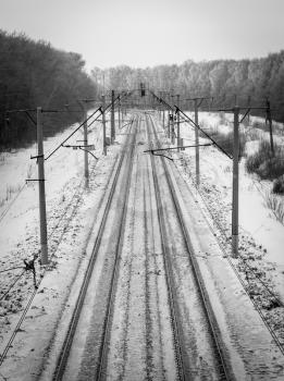 Railroad tracks in the winter taiga forest