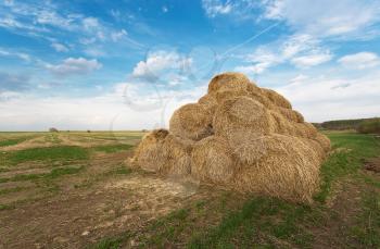 Bales of hay on the farm field, evening rural landscape