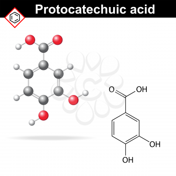 Protocatechuic acid model and chemical formula, molecular structure vector illustration, eps 8