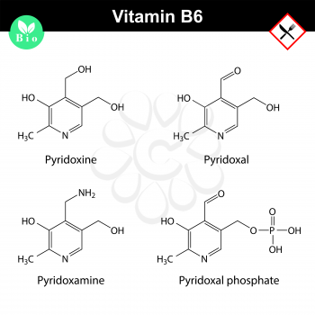 Chemical structures of vitamin b6 forms -  pyridoxine, pyridoxal, pyridoxamine and pyridoxal phosphate, vitamine b group, 2d vector, eps 8