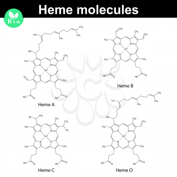 Heme molecule - structural chemical formulas of a, b, c and o types, 2d vector illustration, eps 8