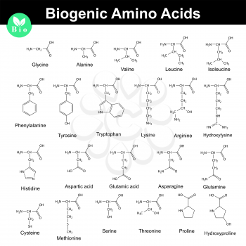 Biogenic amino acids, structural molecular formulas, 2d chemical vector on white background, eps 8