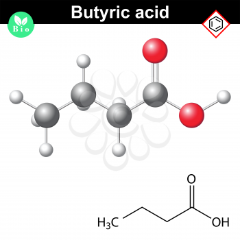 Butyric acid molecule, 2d and 3d illustration of molecular structure, vector on white background, eps 8