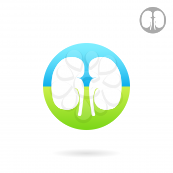 Kidney medical icon, 2d vector logo on white background, eps 10