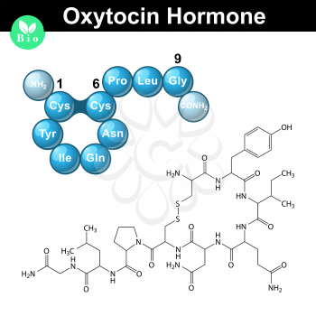 Oxytocin peptide hormone chemical formula and model, 2d and 3d illustration, vector isolated on white background, eps 10