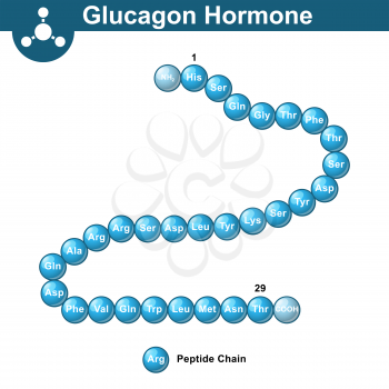 Glucagon hormone chemical structure, 3d illustration, vector on white background, eps 10