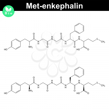 Met-enkephalin molecule, 2d vector illustration, isolated on white background, eps 8