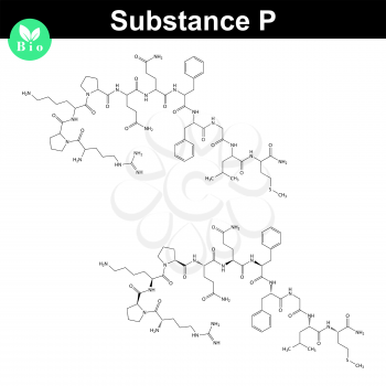 Substance P molecular structure, 2d illustration, vector, eps 8