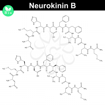 Neurokinin B molecular structure, 2d illustration, vector, eps 8