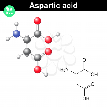 Aspartic acid - main amino acid and neurotransmitter, chemical model and molecular formula, 2d and 3d illustration, vector, eps 8