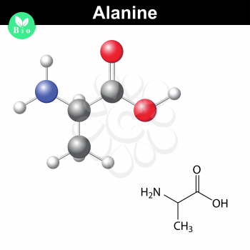 Alanine chemical structure and model, 2d and 3d illustration, vector on white background, eps 8